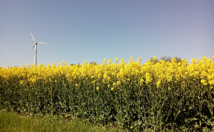 EEG-Reform: Schuss ins eigene Knie